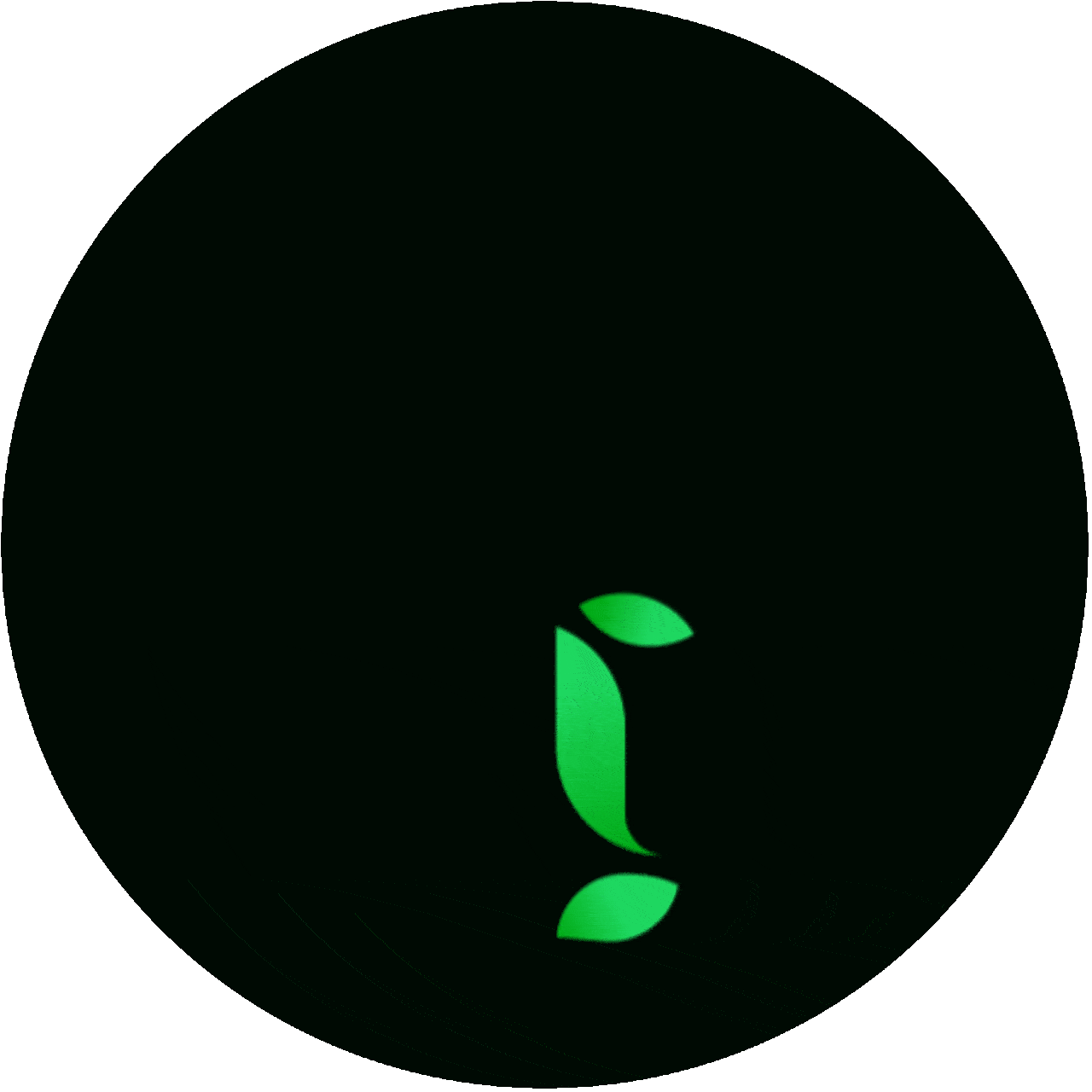 website development service